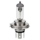 Sijalica H19 12V 60/55W (1 kom) - Lampa 58037